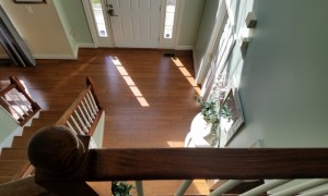 Staircase and Flooring